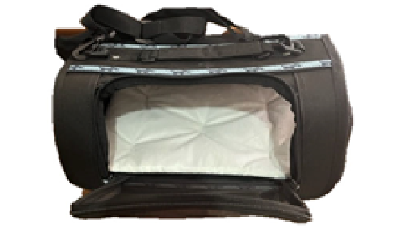 Transportadora Modelo Mickey